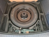  Skoda  Kodiaq  Business 2.0 TDI 150CV BVA7 E6d #11