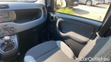  Fiat  Panda 1.0 FireFly 70cv S&S Hybrid #7