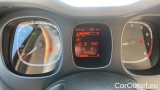  Fiat  Panda 1.0 FireFly 70cv S&S Hybrid #12