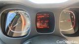  Fiat  Panda 1.0 FireFly 70cv S&S Hybrid #13