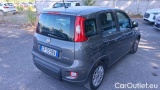  Fiat  Panda 1.0 FireFly 70cv S&S Hybrid #4
