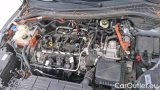  Ford  Kuga 2.5 Benzina FHEV 190CV 2WD ST-Line Aut #15