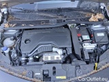  Lancia  Ypsilon Ibrida 100cv  e-DCT #15