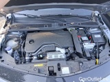  Lancia  Ypsilon Ibrida 100cv  e-DCT #15