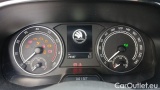  Skoda  Fabia 1.0 TSI Evo 81KW STYLE DSG #12