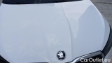  Skoda  Fabia 1.0 TSI Evo 81KW STYLE DSG #46