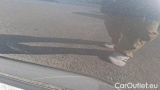  Skoda  Kodiaq 2.0 TDI 110KW EXECUTIVE DSG 5p #27