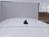  Seat  Leon  Style XL 2.0 TDI 115CV MT6 E6d #9