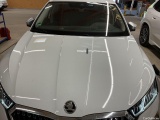  Skoda  Octavia  Combi Scout 4x4 2.0 TDI 110KW AT7 E6d #14