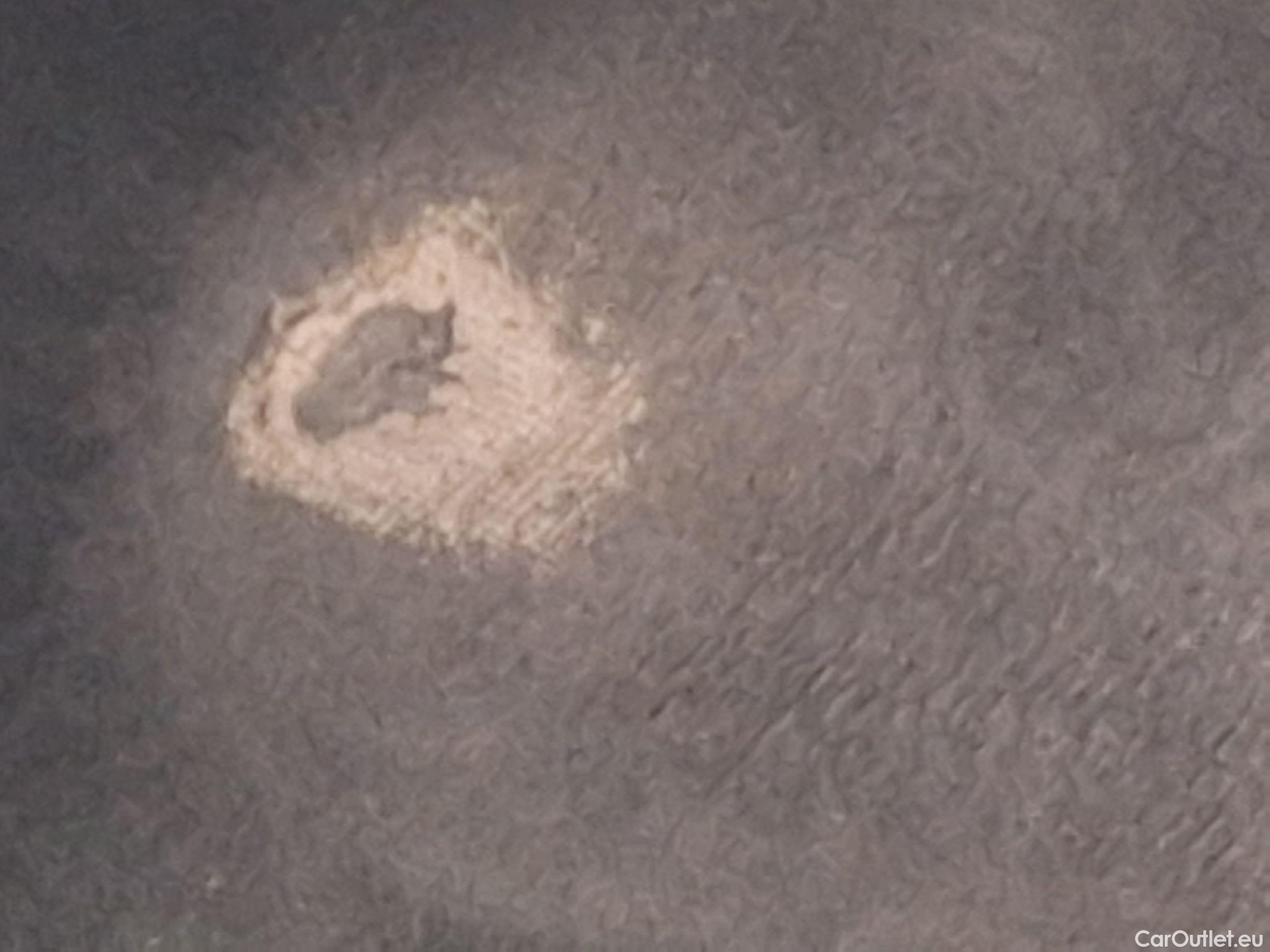  Skoda  KAMIQ Skoda,  '19,  1.5TSI 110kW Clever DSG #24