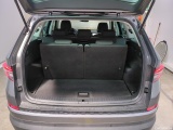  Skoda  Kodiaq  Business 2.0 TDI 150CV BVA7 E6d #9