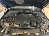  Mercedes  C-Klasse C -Klasse T-Modell C 220 d T (206.204)Avantgarde 162KW AT9 E6d #12