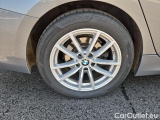  Bmw  Serie 3 320d xDrive Touring Automatic #10