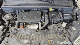  Opel  Crossland 1.5 Diesel 88kW Elegance Automatik #11