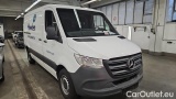 Sprinter