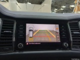  Skoda  Kodiaq  Business 2.0 TDI 150CV BVA7 E6d #13