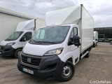 Ducato