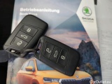  Skoda  Karoq SKODA  2.0 TDI SCR 4x4 DSG Tour 5d 110kW #19
