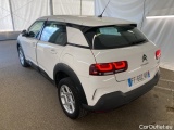 C4 Cactus