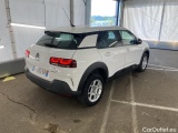 C4 Cactus