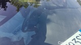  Opel  Crossland 1.2 130cv Elegance S&S AT6 #38
