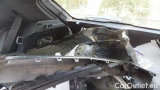  Lancia  Ypsilon Ibrida 100cv  e-DCT #10