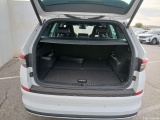  Skoda  Kodiaq  Sportline 2.0 TDI 150CV AT7 E6d #8
