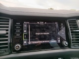  Skoda  Kodiaq  Sportline 2.0 TDI 150CV AT7 E6d #12