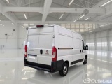  Fiat  Ducato FIAT  / 2014 / 4P / FURGONE 35 MH2 2.2 MJT3 140CV E6D-FIN #2