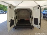 Fiorino