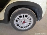  Fiat  Panda FIAT  / 2011 / 5P / BERLINA 1.0 FIREFLY 70CV SeS HYBRID #20