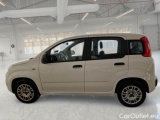 Fiat  Panda FIAT  / 2011 / 5P / BERLINA 1.2 69CV SeS E6D-TEMP EASY #8