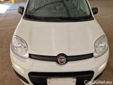  Fiat  Panda FIAT  / 2011 / 5P / BERLINA 1.2 69CV SeS E6D-TEMP EASY #24