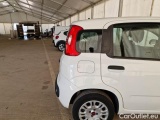  Fiat  Panda FIAT  / 2011 / 5P / BERLINA 1.2 69CV SeS E6D-TEMP EASY #40
