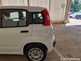  Fiat  Panda FIAT  / 2011 / 5P / BERLINA 1.2 69CV SeS E6D-TEMP EASY #49
