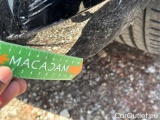  Nissan  Micra 1.0 IG-T ACENTA CVT #22