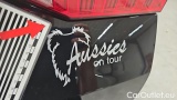  Audi  A6 40 TDI S tronic sport Avant #26