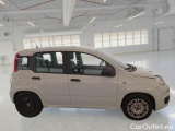  Fiat  Panda FIAT  / 2011 / 5P / BERLINA 1.0 70CV SeS HYBRID #7