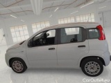  Fiat  Panda FIAT  / 2011 / 5P / BERLINA 1.0 70CV SeS HYBRID #8
