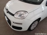  Fiat  Panda FIAT  / 2011 / 5P / BERLINA 1.0 70CV SeS HYBRID #21