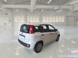 Fiat  Panda FIAT  / 2011 / 5P / BERLINA 1.0 FIREFLY 70CV SeS HYBRID #2