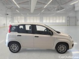  Fiat  Panda FIAT  / 2011 / 5P / BERLINA 1.0 FIREFLY 70CV SeS HYBRID #7
