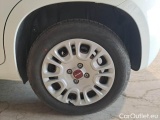  Fiat  Panda FIAT  / 2011 / 5P / BERLINA 1.0 FIREFLY 70CV SeS HYBRID #19