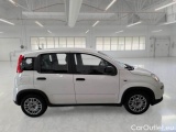  Fiat  Panda FIAT  / 2011 / 5P / BERLINA 1.0 FIREFLY 70CV SeS HYBRID #7