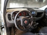  Fiat  Panda FIAT  / 2011 / 5P / BERLINA 1.0 FIREFLY 70CV SeS HYBRID #4