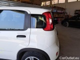  Fiat  Panda FIAT  / 2011 / 5P / BERLINA 1.0 FIREFLY 70CV SeS HYBRID #74