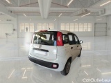  Fiat  Panda FIAT  / 2011 / 5P / BERLINA 1.2 69CV SeS E6D-TEMP EASY #3