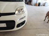  Fiat  Panda FIAT  / 2011 / 5P / BERLINA 1.2 69CV SeS E6D-TEMP EASY #39