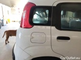  Fiat  Panda FIAT  / 2011 / 5P / BERLINA 1.2 69CV SeS E6D-TEMP EASY #54