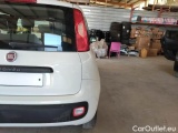  Fiat  Panda FIAT  / 2011 / 5P / BERLINA 1.2 69CV SeS E6D-TEMP EASY #71